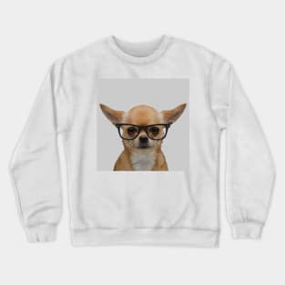 Portrait of Chihuahua with Nerd Glasses Crewneck Sweatshirt